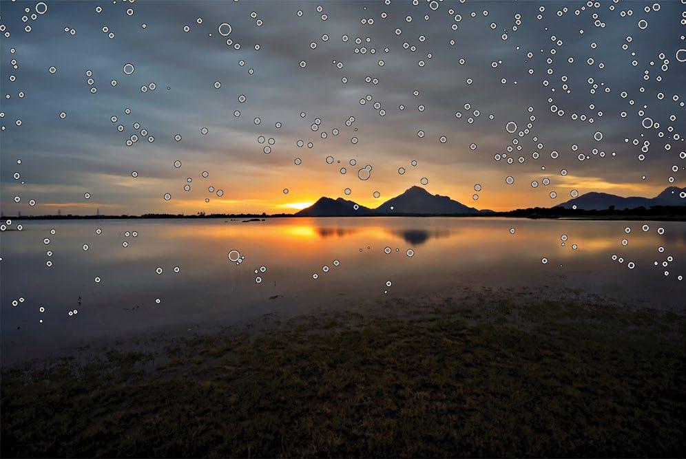Removing Dust Spots with ACR and Lightroom